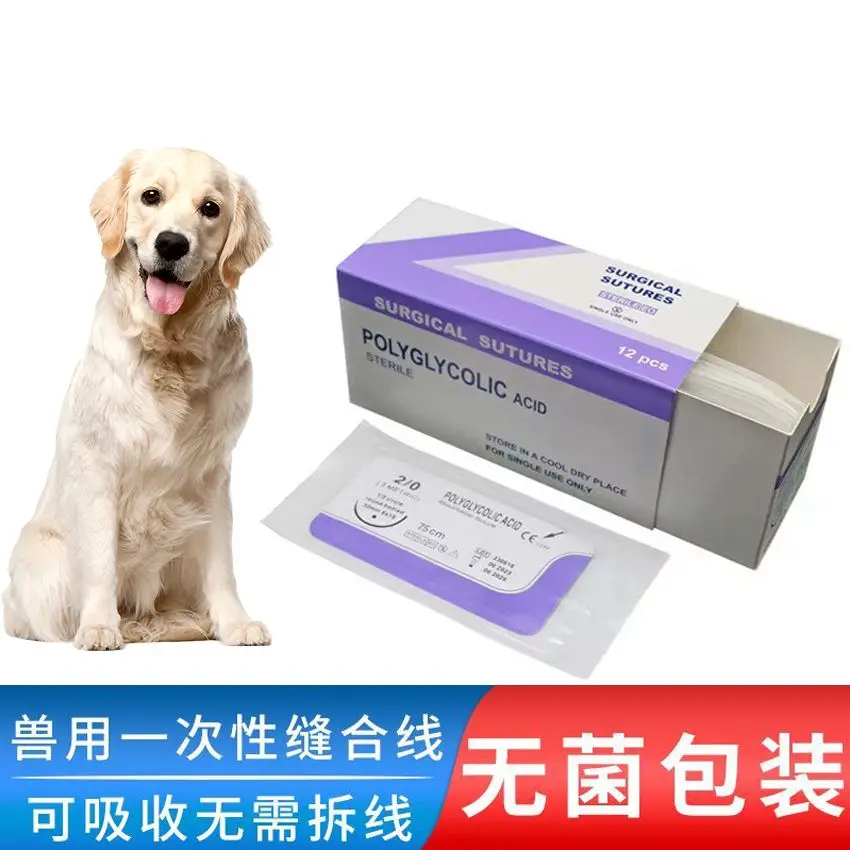 Pet Animal Special Supplies PGA Absorbable Suture Angle Needle Round Needle 2-0/3 -0 Medical