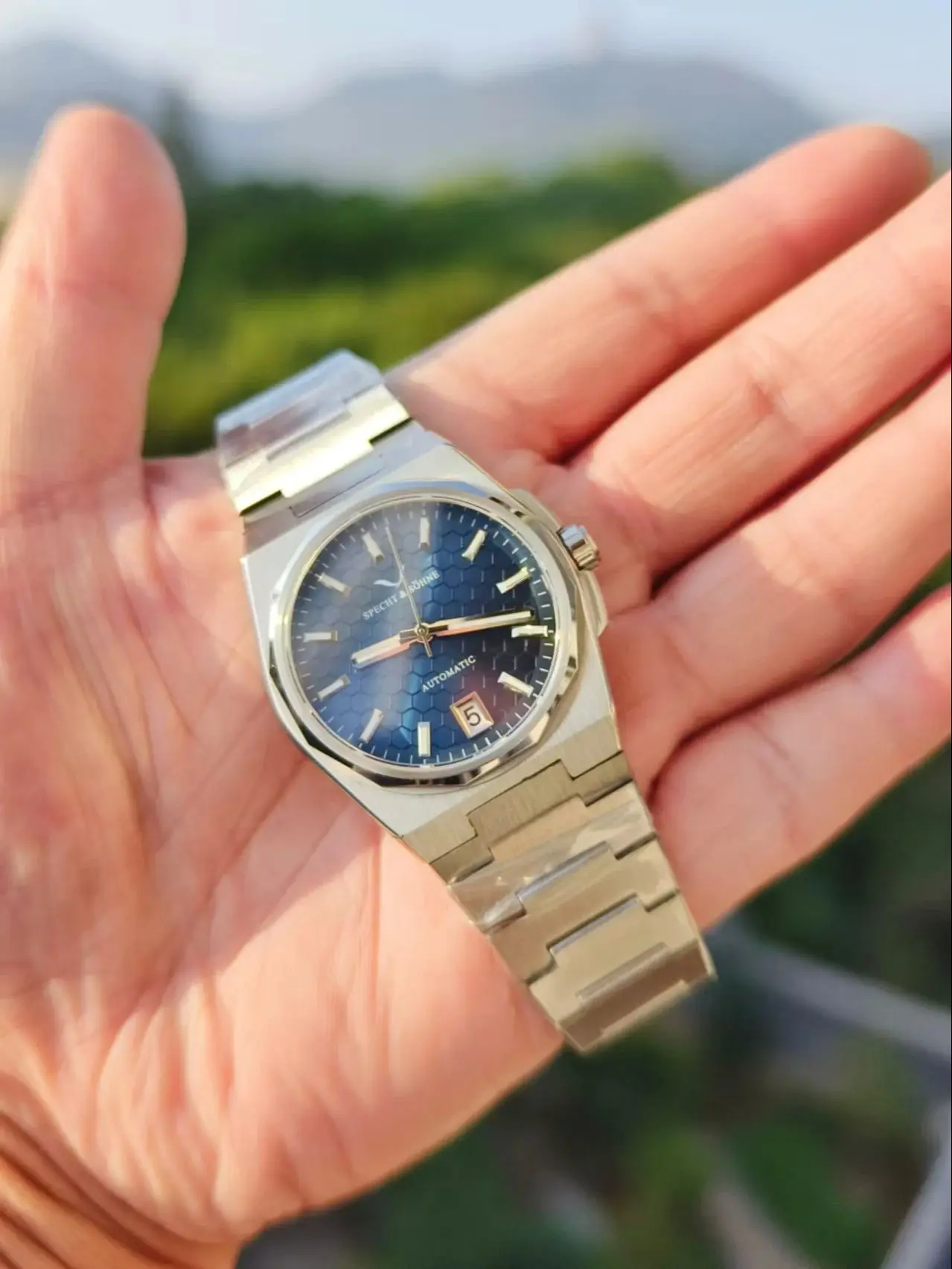 Specht & Söhne Luxury Business New Mens Watch NH35 Mechanical Wrist watch Honeycomb Dial Stainless Steel Watch Relogio Masculino