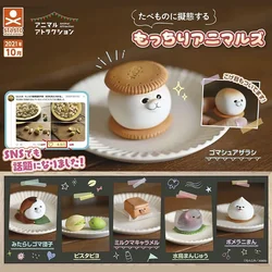 STASTO Original Gashapon Capsule Toys Cute Animals Food Mimicry Seals Bird Cookies Gachapon Kawaii Anime Figure Creative Gift