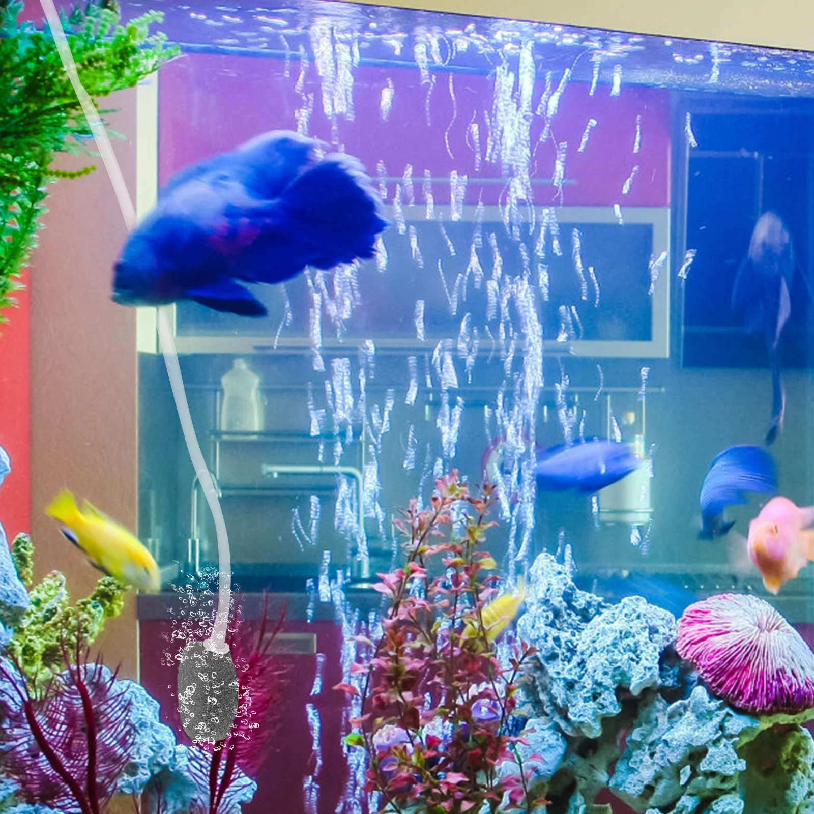 

Mini USB Oxygen Air Pump for Fish Tank Aquarium Portable Bubbler ABS Material Compact Design Beginner