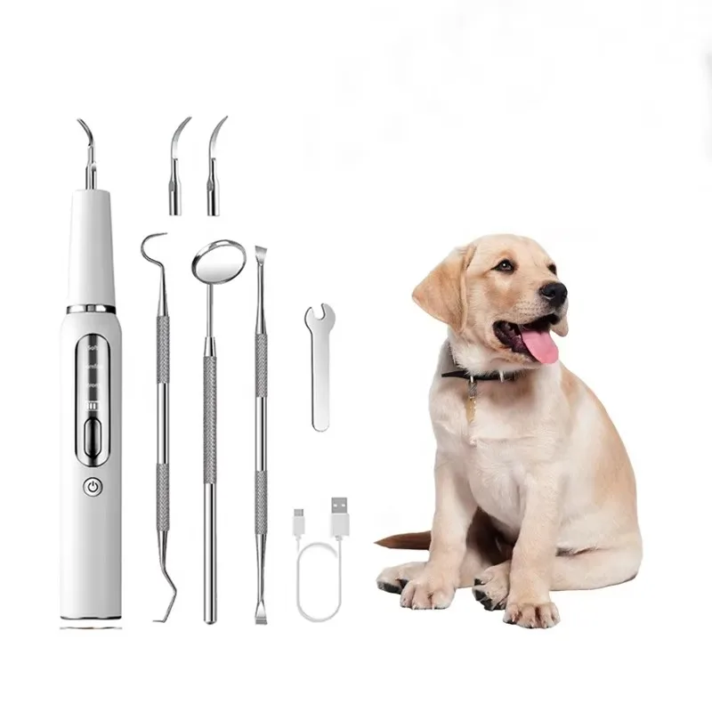 

High Frequency USB Rechargeable Waterproof Scaler Vibrating Pet Ultrasonic Tartar Calculus Tooth Cleaner for Dogs Cats