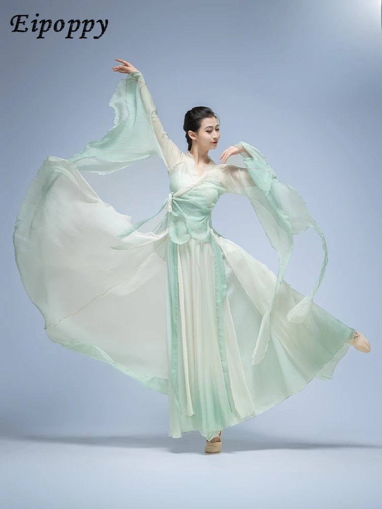 클래식 댄스 의상, 나비 그라데이션 공연 의상