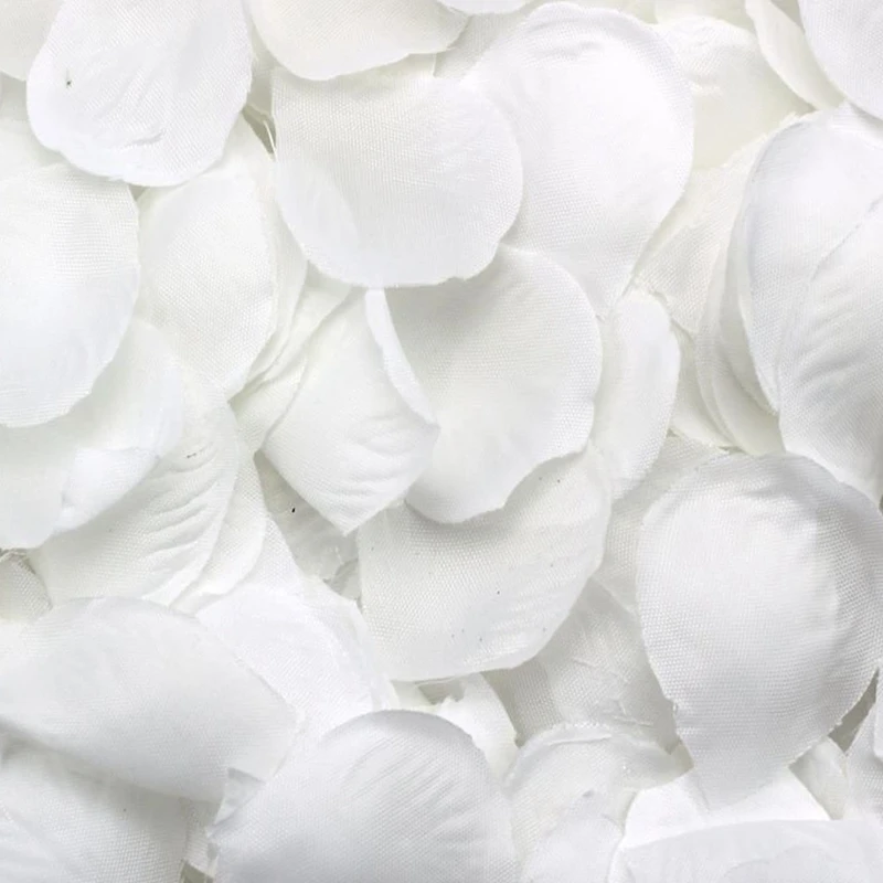 Pétales de rose épars, décoration de fête de mariage blanche, 500