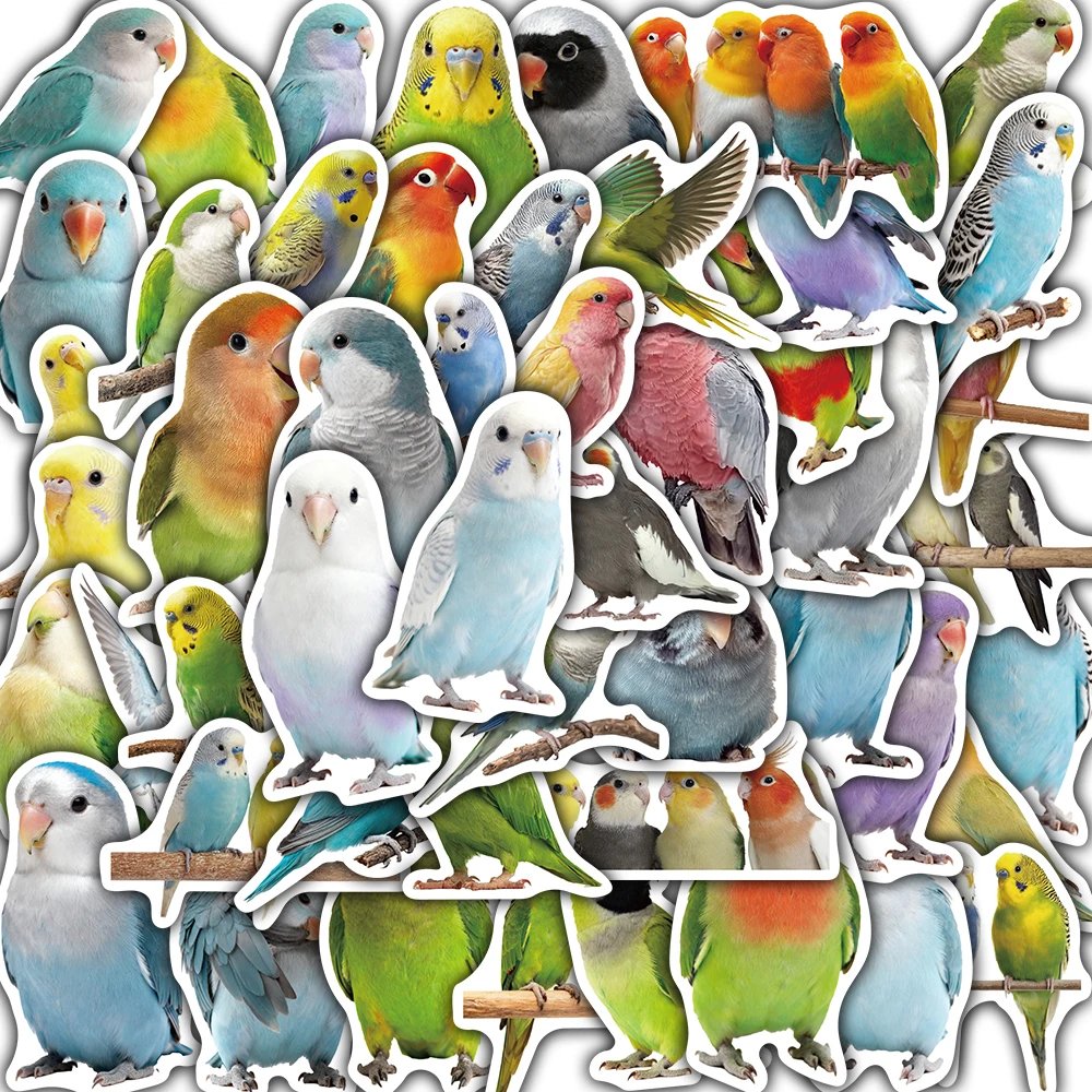 50 Stück Niedliche Papageien-Aufkleber Ästhetische Harajuku-Sticker für Telefon, Gepäck, Notizbuch, Scrapbooking, Streetwear, Laptop, Kreative Aufkleber