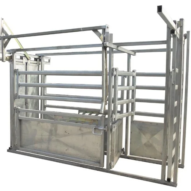 

Galvanized Cattle Panel Squeeze Crush Cattle Handling Equipment