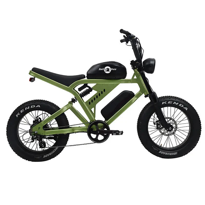 

Aluminum Alloy Electric Bike 8 Speed Electric Bicycle for Adult 20 Inch Mountain Ebike Double Disc Brake 48V 1000W E Bike