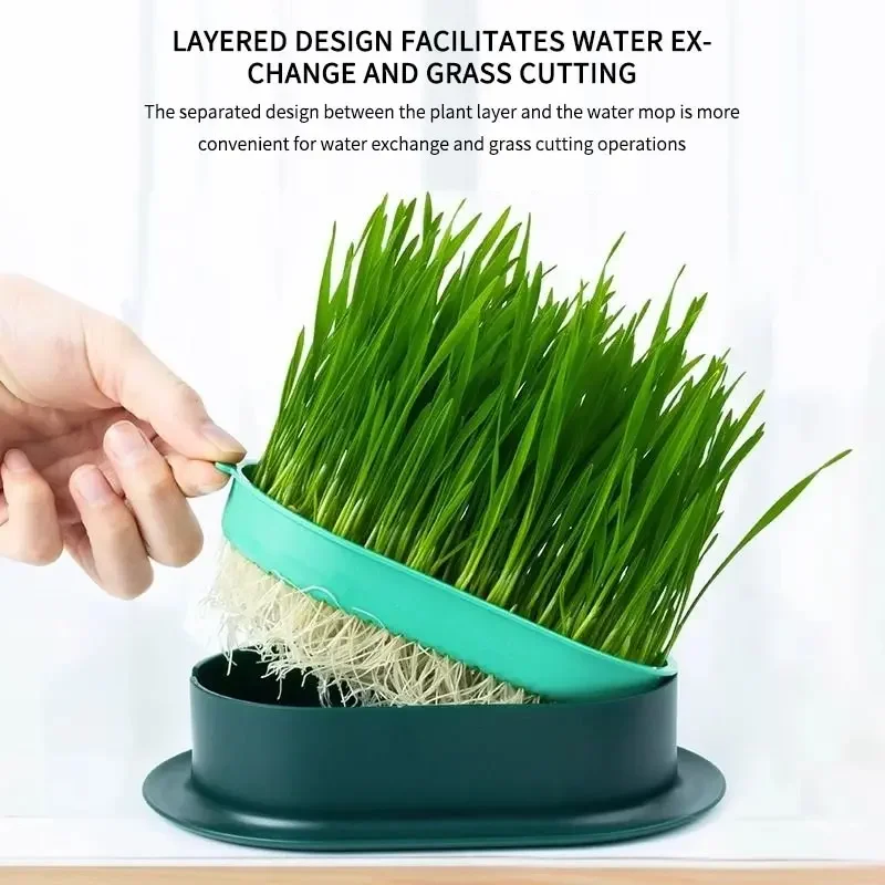 Nuevo Recipiente para Germinar Hierba para Gatos, Maceta Hidropónica para Plantas, Germinador de Hierba para Gatos, Recipiente de Inicio para la Digestión, Caja de Cultivo tipo Invernadero