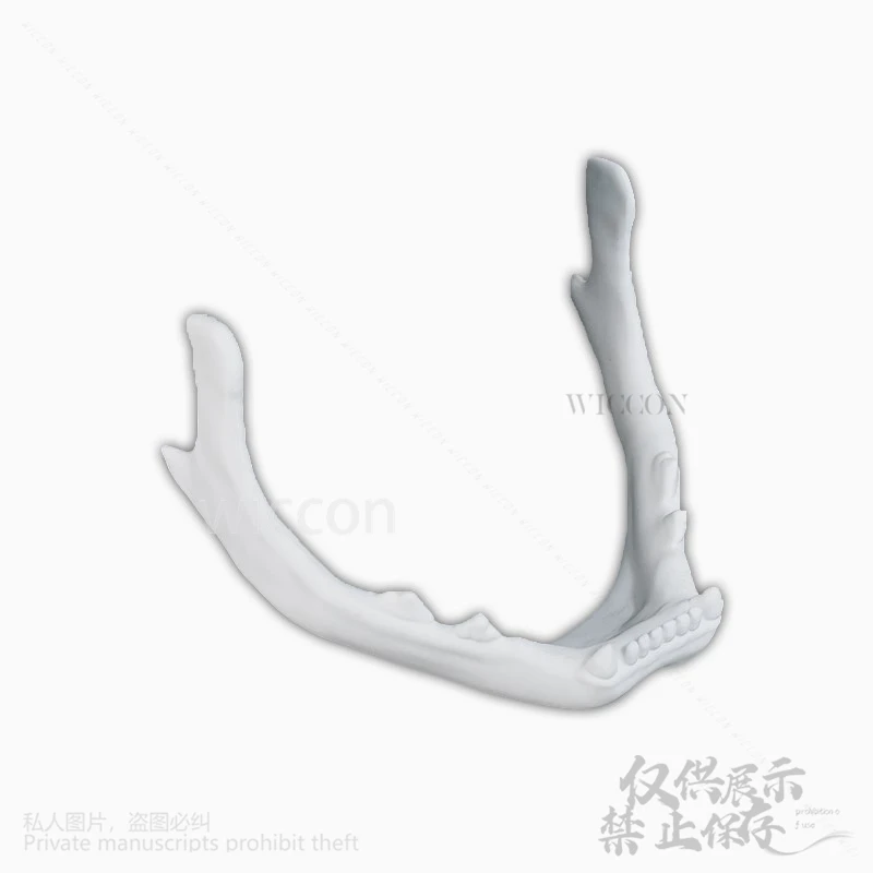 Anime Animal 3D Print Furry Cosplay Head Skull Kigurumi Cat Mask Props Furrysuit Headwear For Halloween Christmas Cos Customized