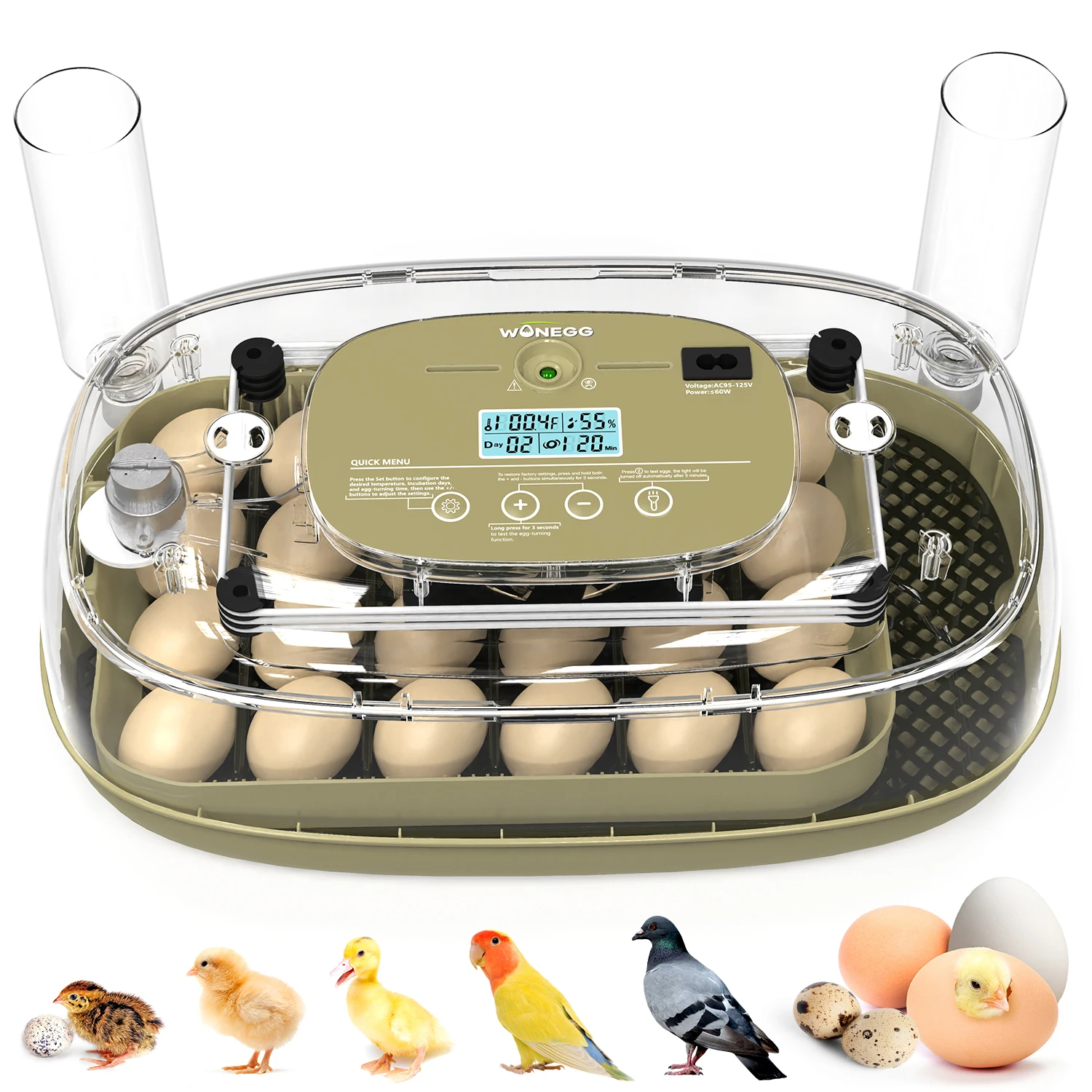 

High Efficiency WONEGG 24 Egg Incubator, Fully Automatic Temperature Control System,