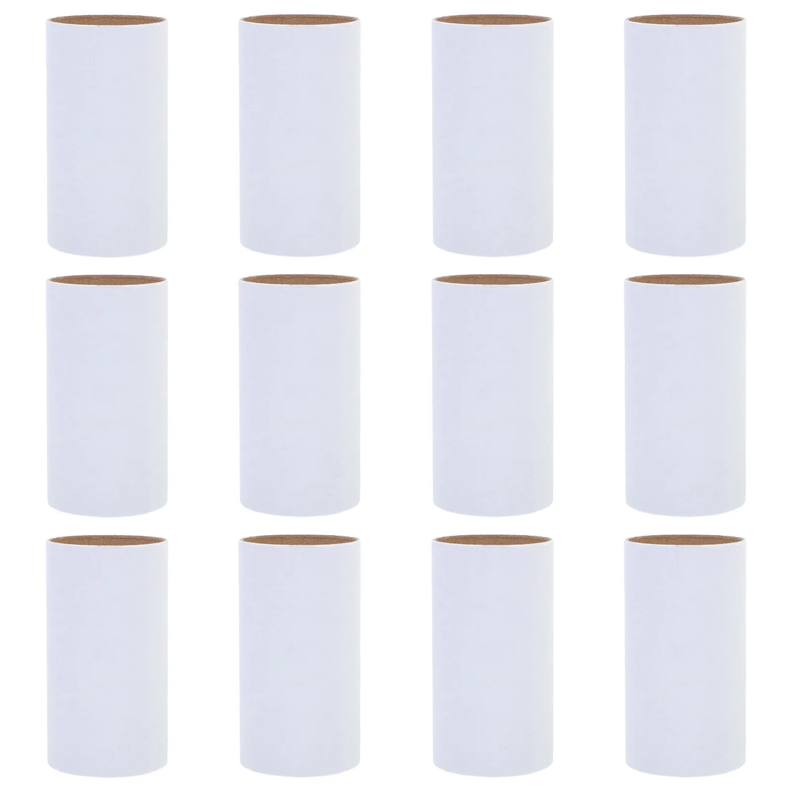 12 Pcs Paper Tubes Blank Cylindrical White Embryo Toilet Paper Cores for Crafts Cardboard Tubes DIY Painting Projects