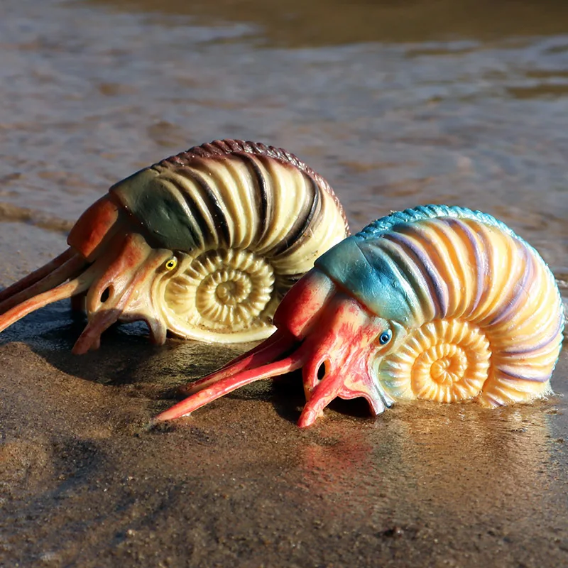 Simulation Prehistoric Marine Life Model Trilobites Ammonites Octopus Ocean Ancient Animals Action Figure Toys for Children Gift