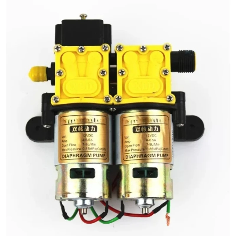 12V Intelligent Double Pump Electric Agricultural Sprayer High Power Water Pump for Farm Garden Irrigation