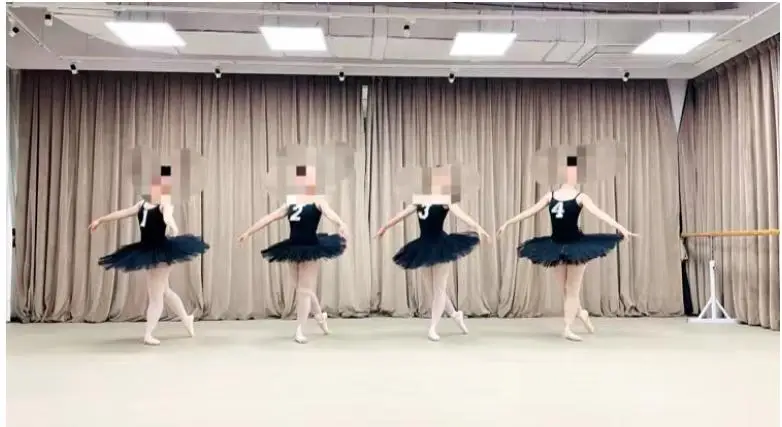 Professionelle Ballett Tutu Weiß Schwanensee Ballett Tanz Kostüm Frauen Halb Platte Pfannkuchen Tutu Erwachsene Kinder Ballett Tanz Tutu Rock – Detail 2