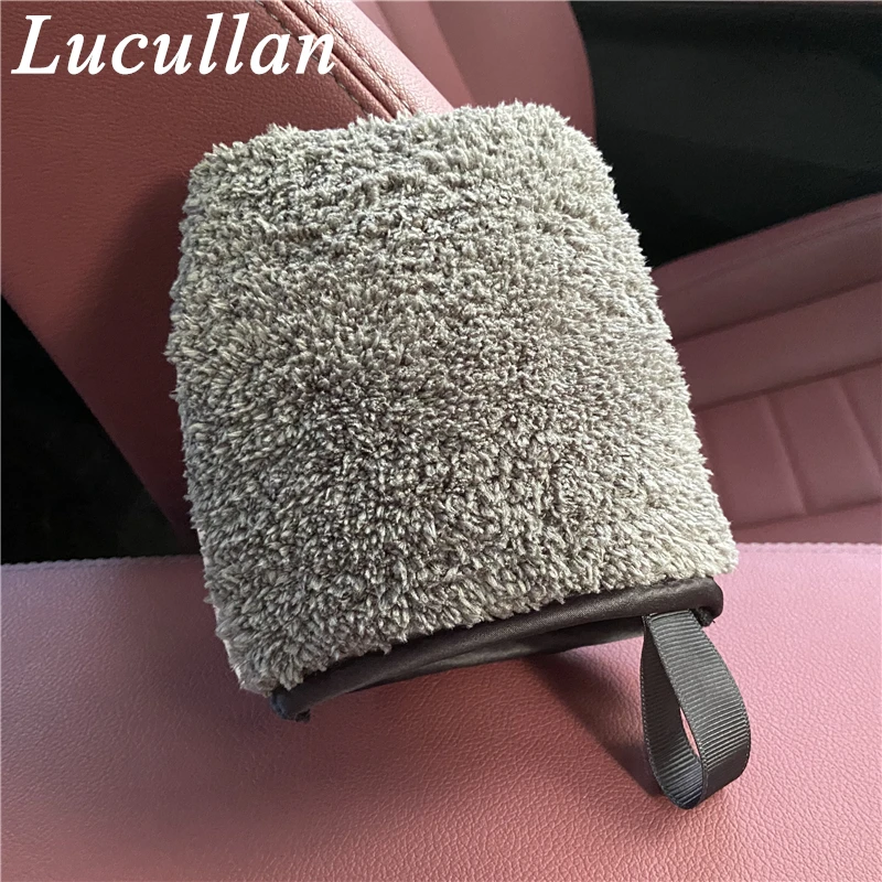 Lucullan 3th Interior Detailing Mitt One Side Brush-like Bristle,The Other is Terry Towel