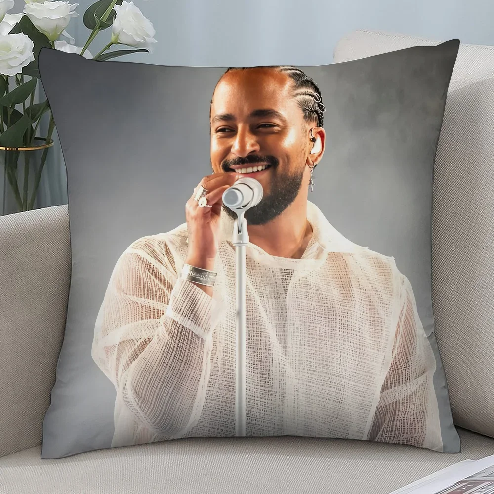 Singer S-Slimane France Pillow Case 3D Print Polyester Fiber 40*40 cm Home Sofa Throw Pillow Cover Decoration Festival Gift