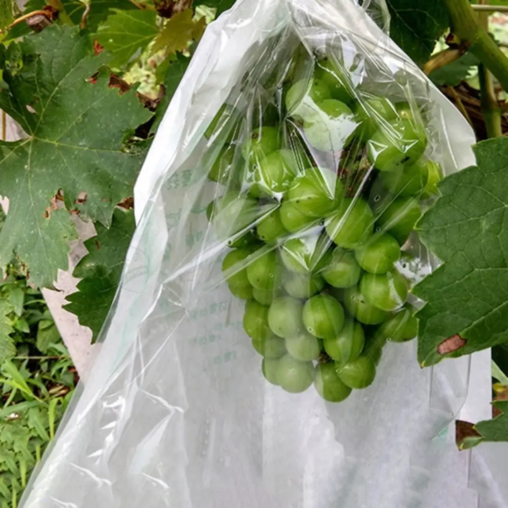 

100pcs Semi Transparent Grape Protection Bags Anti-Bird Breathable Fruit Vegetable Paper Bag Waterproof Against Insect Pouch