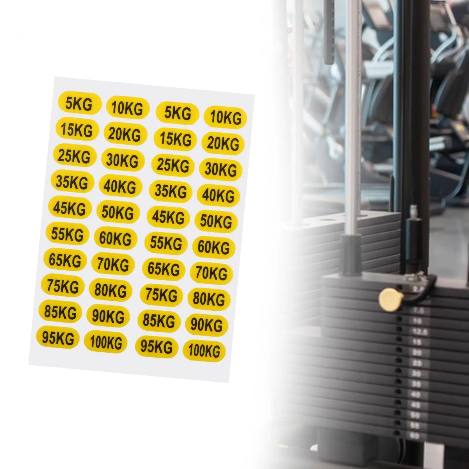 Weight Stack Labels 5-100 kg Weight Stickers for Strength Training Gym Body