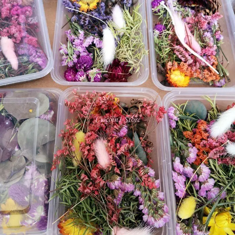 Y1UB 1 Box echte Mix getrocknete Blumen für Harzschmuck Trockenpflanzen gepresste Blumen DIY
