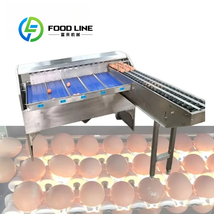 Egg Sorting Machine Cooperates With Egg Grading Machine And Automatic Grader To Cut Manual Egg Sort Labor For Processing