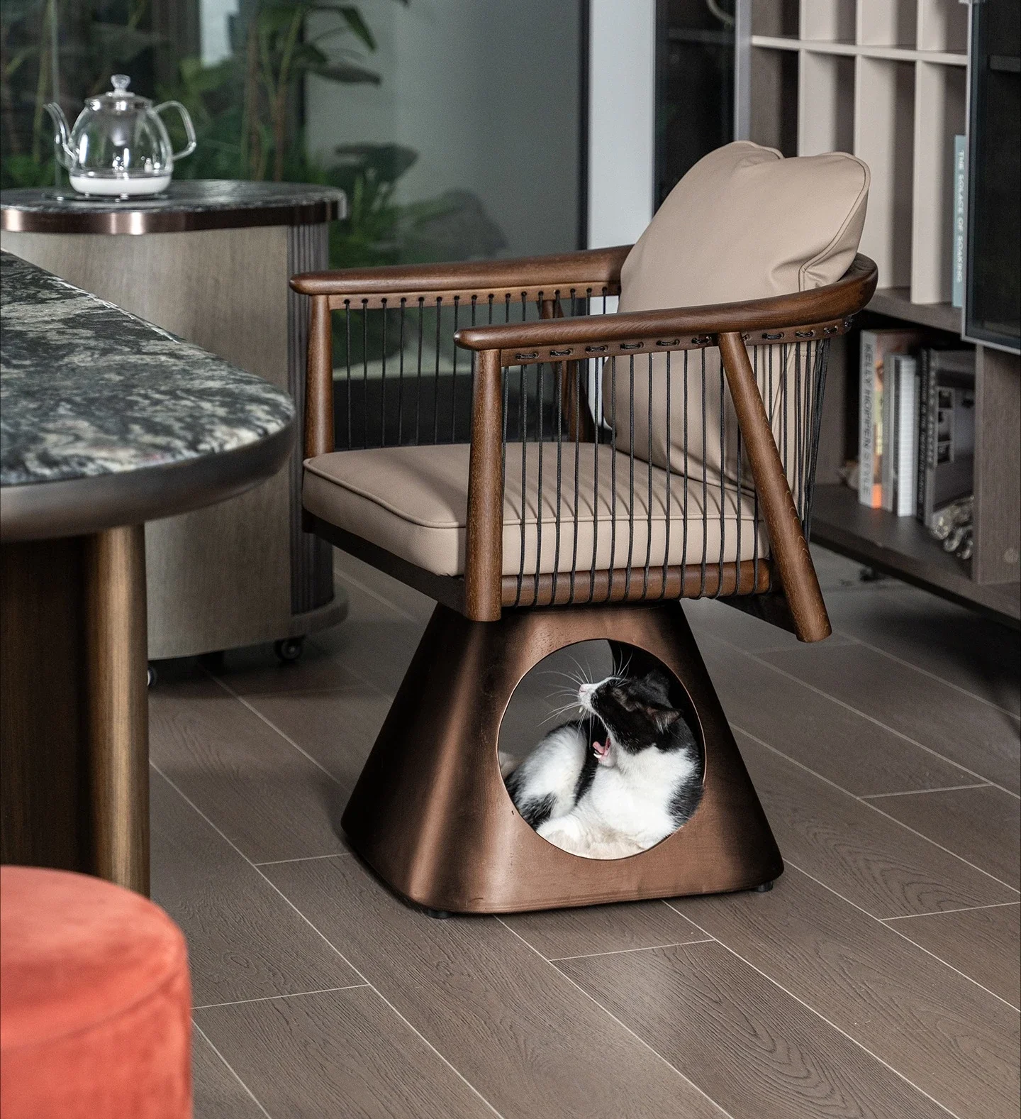 Pets share a rotating solid wood master chair, black walnut tea chair, medieval style