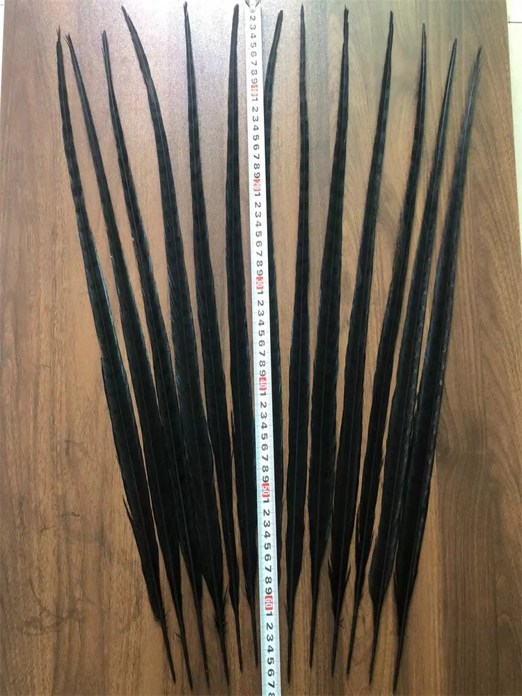 13PCS 65-70CM Black Ringneck Pheasant Feathers Natural Lady Amherst Pheasant Tails Feather Plumes For Carnival Party Decorations