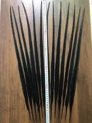 13PCS 65-70CM Black Ringneck Pheasant Feathers Natural Lady Amherst Pheasant Tails Feather Plumes For Carnival Party Decorations