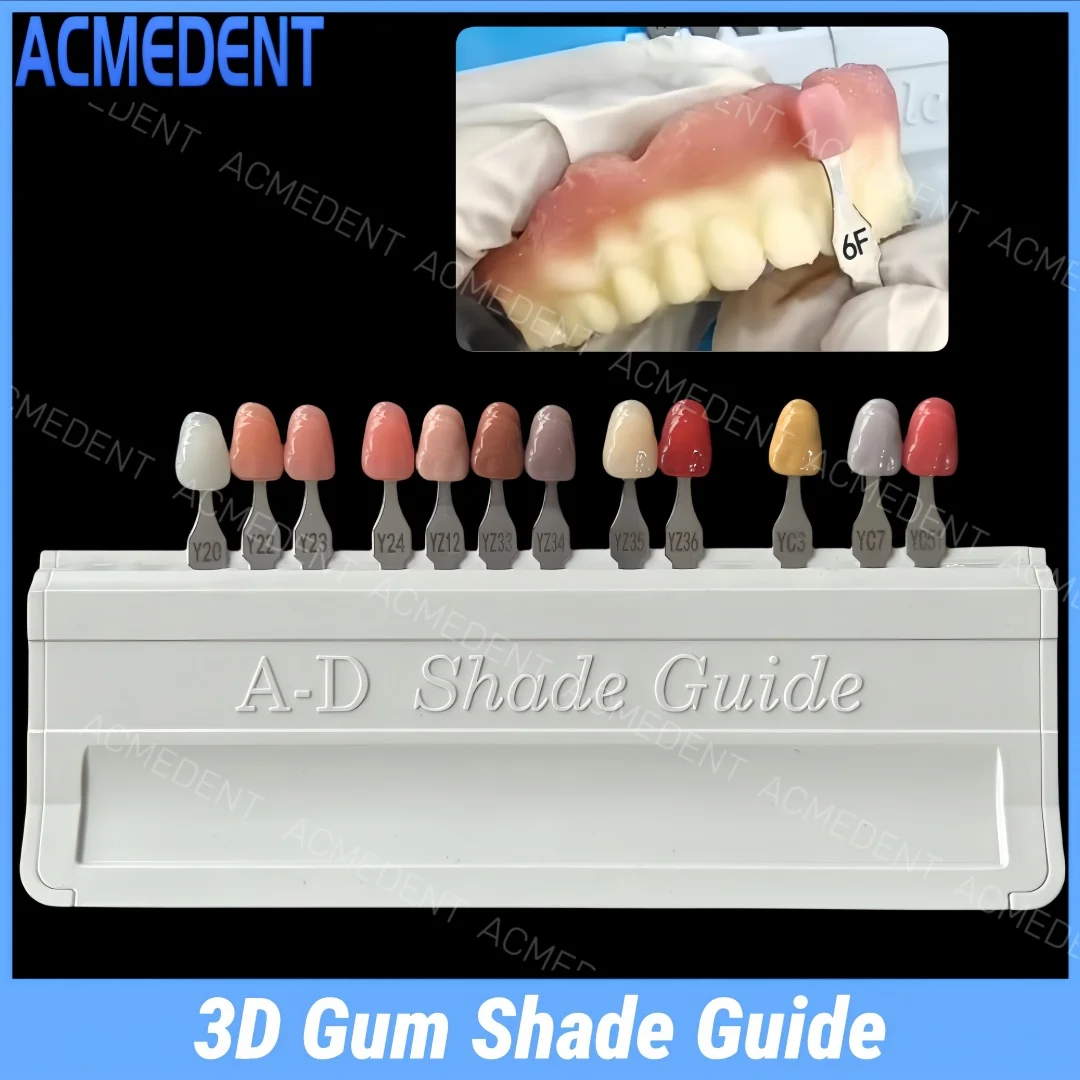 Gingiva Dental estética 3D goma sombra guía impresión rosa Base para dentadura tabla de sombra compuesto Gingiva resina restauración de las encías 12 colores