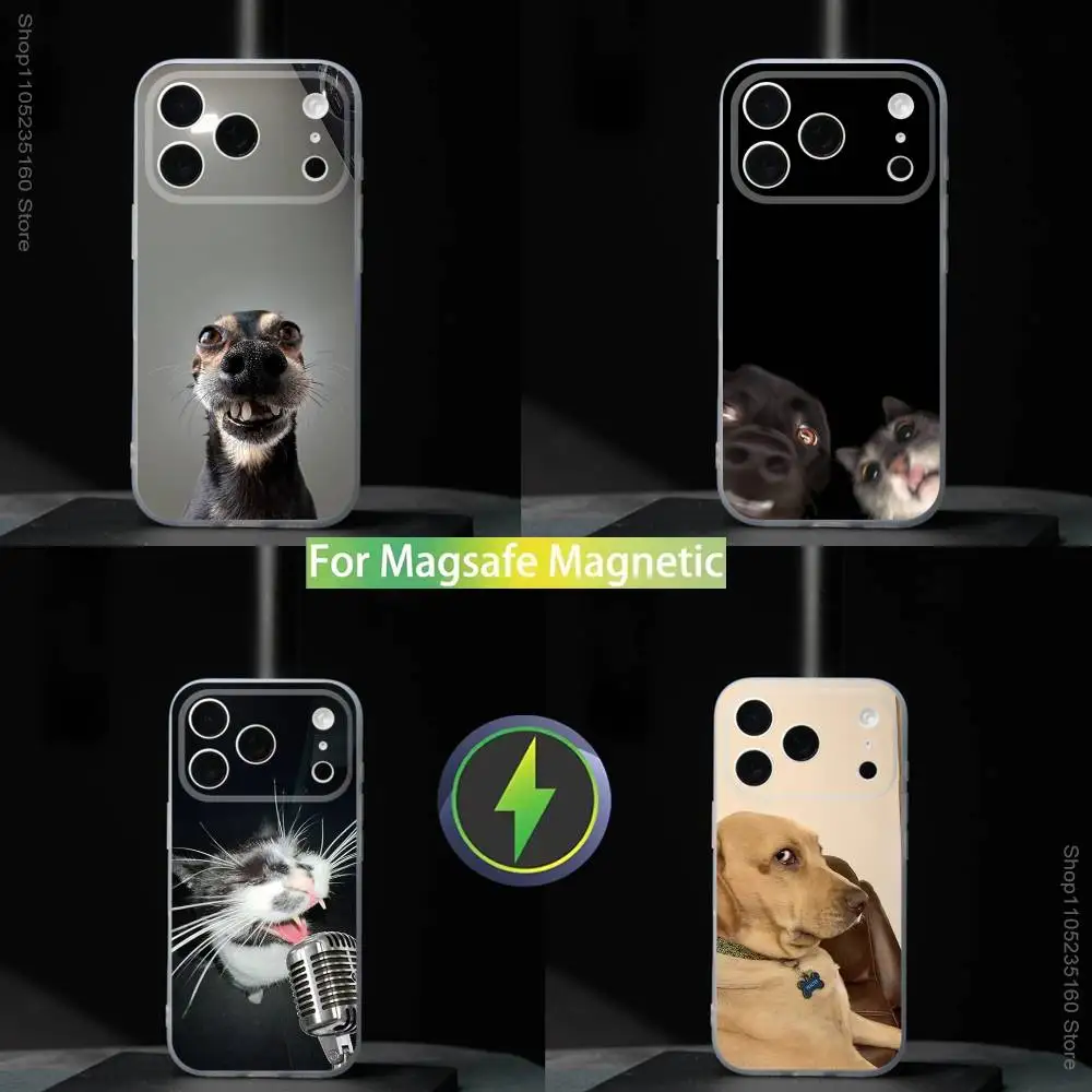 

Чехол для телефона Funny Dog Cat для iPhone 11,12,13,14,15,16,17,Pro,Max,Plus,Mini,SE4,E с беспроводной связью Magsafe