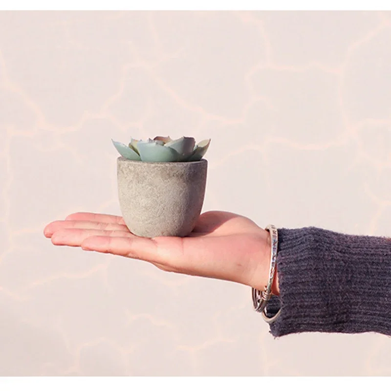 

Mini Artificial Aloe Plants Bonsai - Small Simulated Tree Pot with Fake Flowers, Faux Flowers, and Artificial Flowers for Office