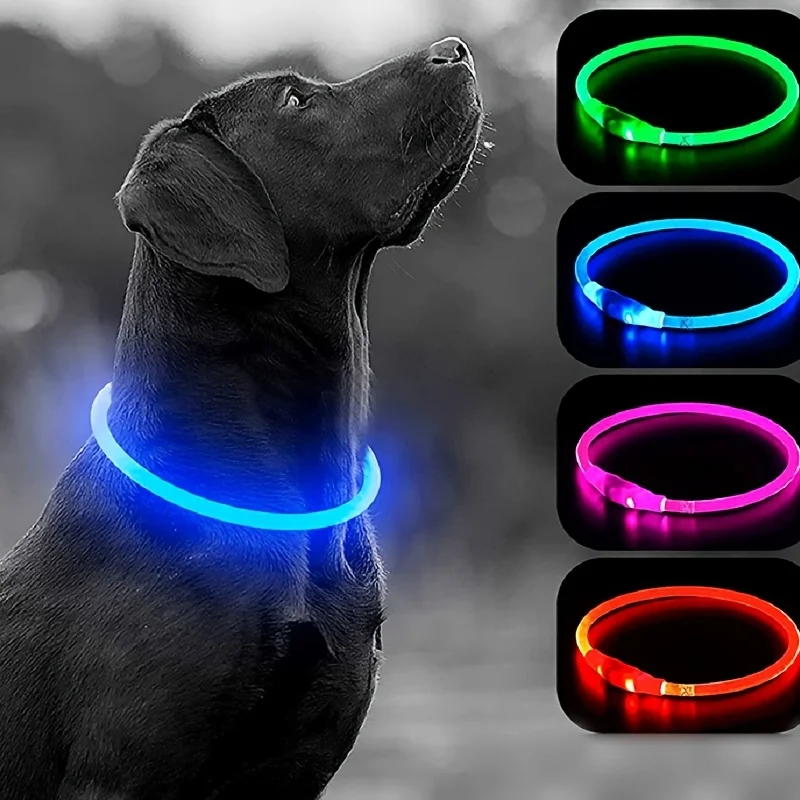 Dog glow collar bright, USB charging night safe, adjustable glow-in-the-dark collar for night walking