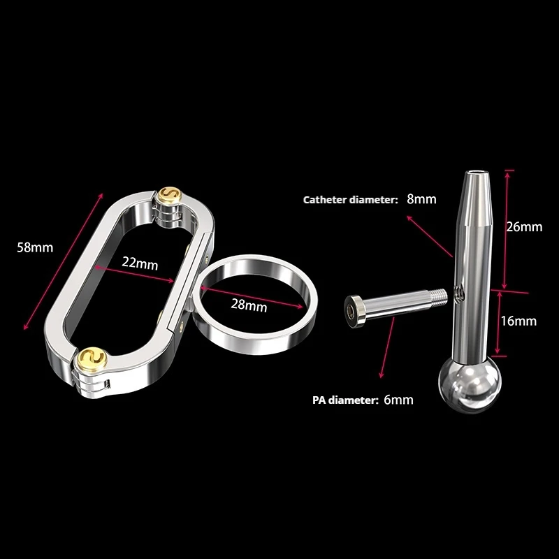 Newest Design Stainless Steel Detachable Male Chastity Device PA Puncture Cock Cage Penis Ring Lock Stealth Lock Chastity Belt