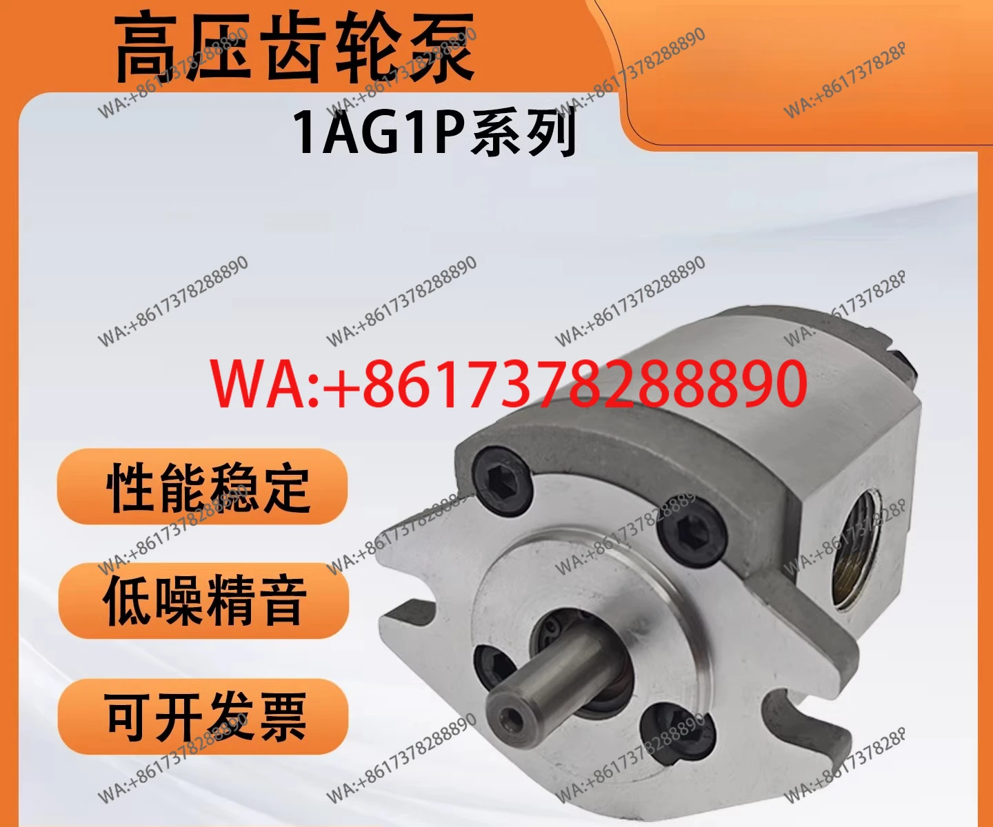 

High Pressure Gear Pump 1AG1P Series 1AG1P01R/P02/P03/P04/P05/P06/P07R Hydraulic Pump
