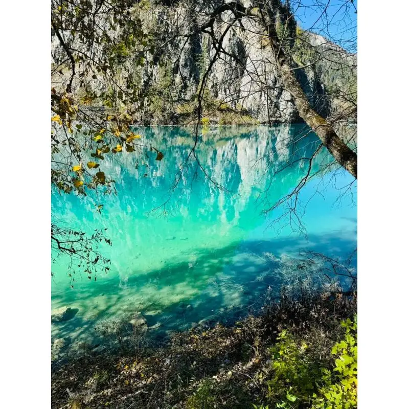 A4 Portable Thermal…