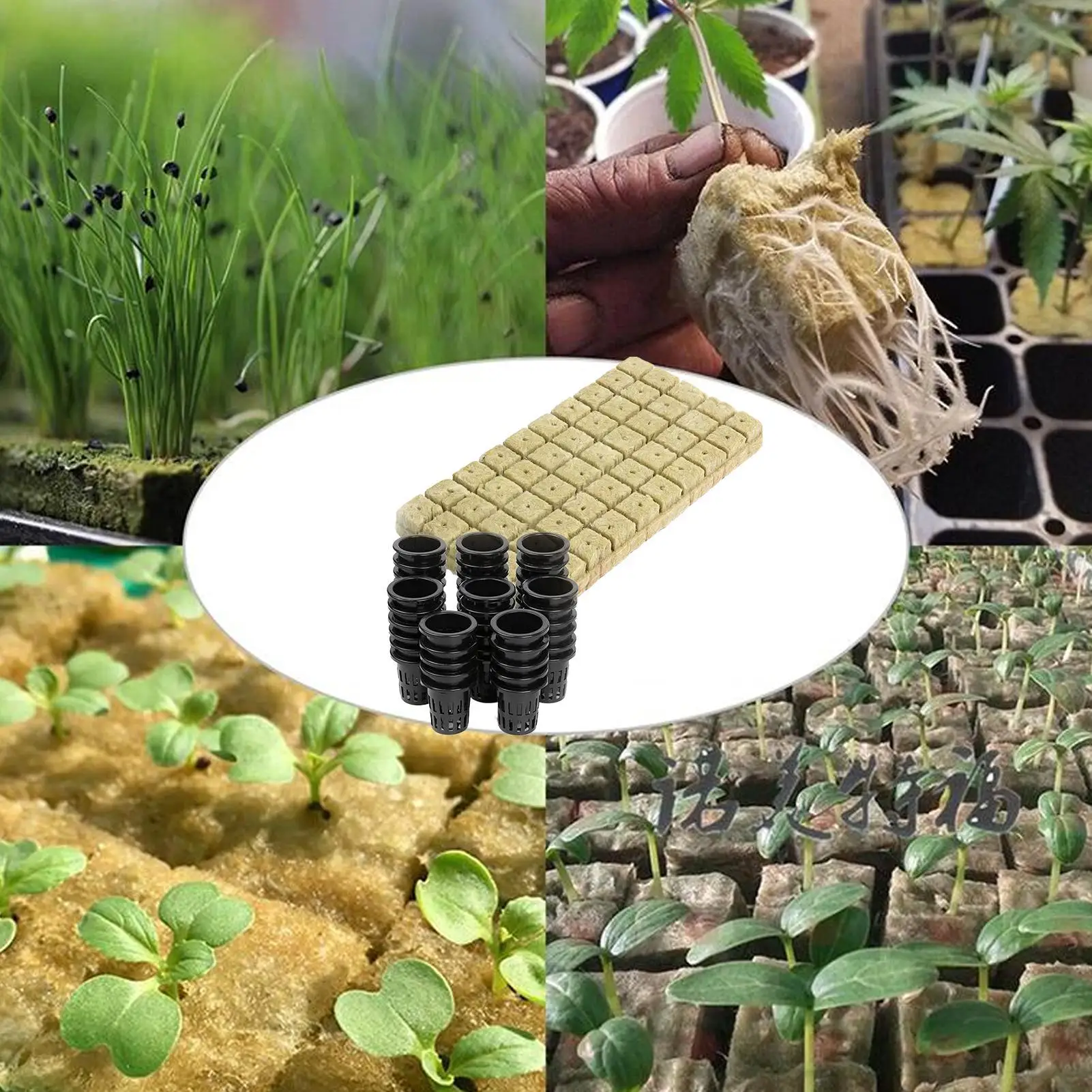 Rockwool Cubes Soilless Seedling Supplies Plant Germination Blocks For Gardeners Growers Farmers Window Sill Balcony Garden