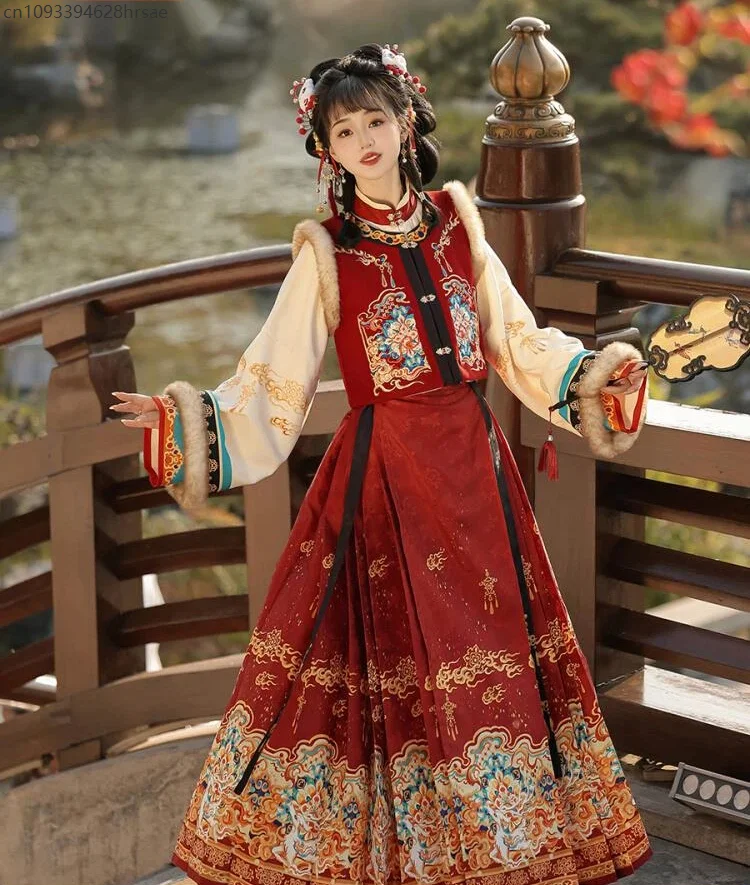 

Retro Elements Hanfu Dress Women's Traditional Ming Dynasty Embroidery Costume Winter Thicken Lucky New Year Clothing