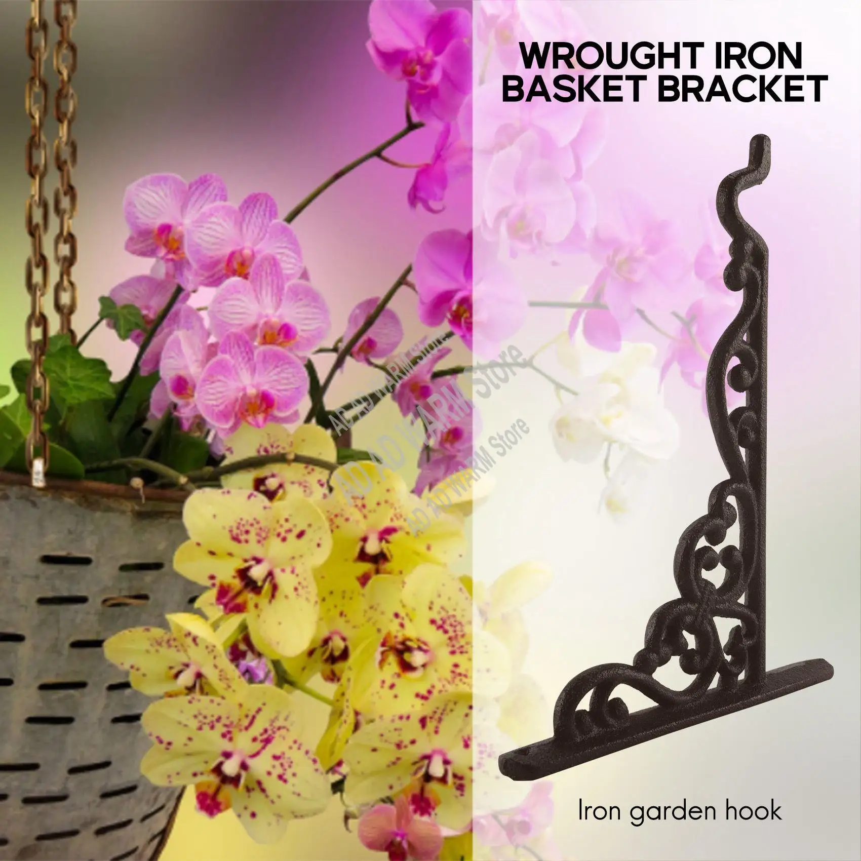 AD23-2 حزمة نبات الحديد الزهر شماعات المزارعون المعلقة سلة جدار هوك مع مسامير ، حوامل جدارية معدنية خمر لتغذية الطيور ، Pl
