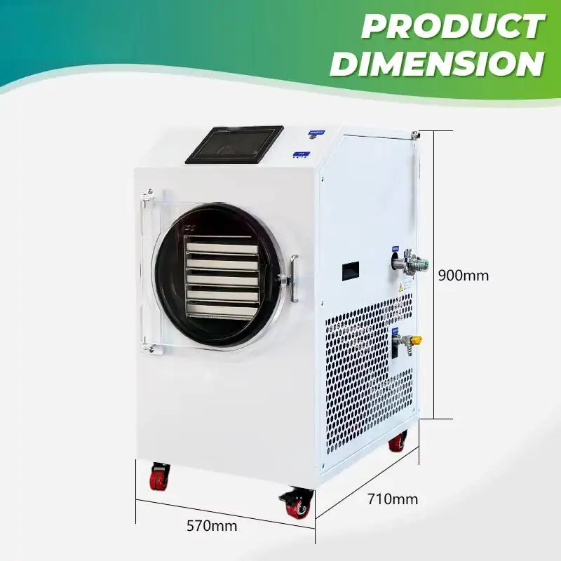 2026 Home Food Drying Machine Small Domestic Mini Countertop Freeze Dryer