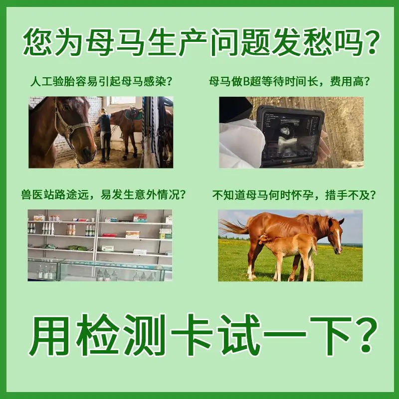 Fast and Accurate Mare Pregnancy Test - Veterinary Testing Card for Horse Breeding