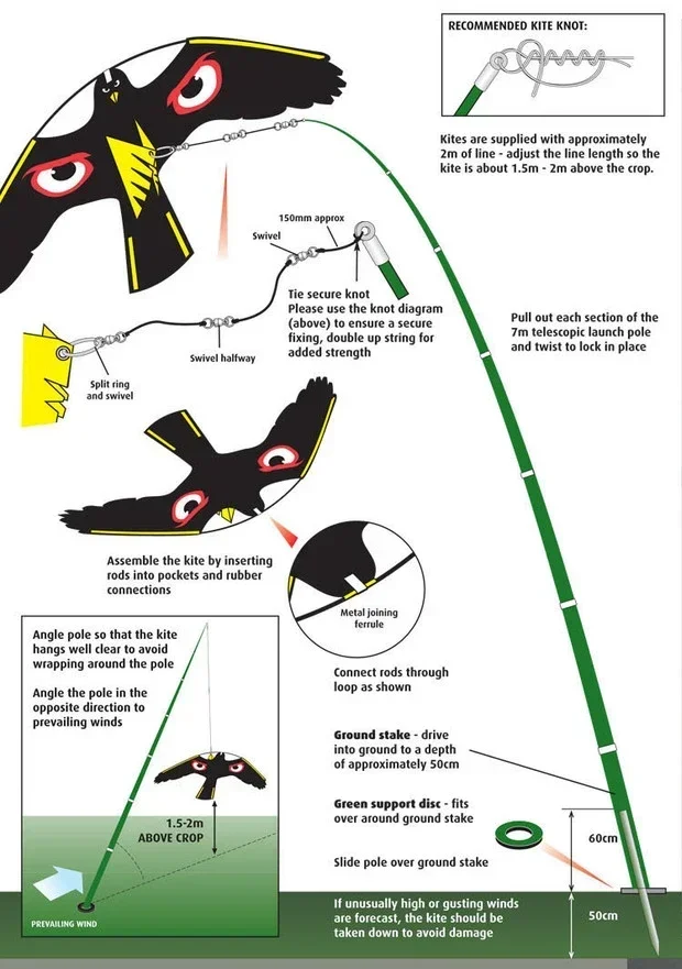 Imagem -04 - Conjunto Falcão Kite com 7m Haste-emulação Voando Pássaro Scarer Condução Repelente de Aves para Jardim Espantalho Quintal Pássaro Repelente 1