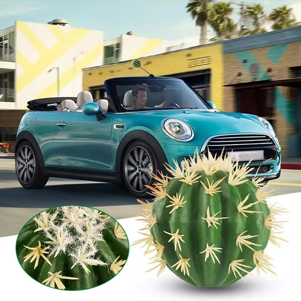 Funny Cactus Car An… - image