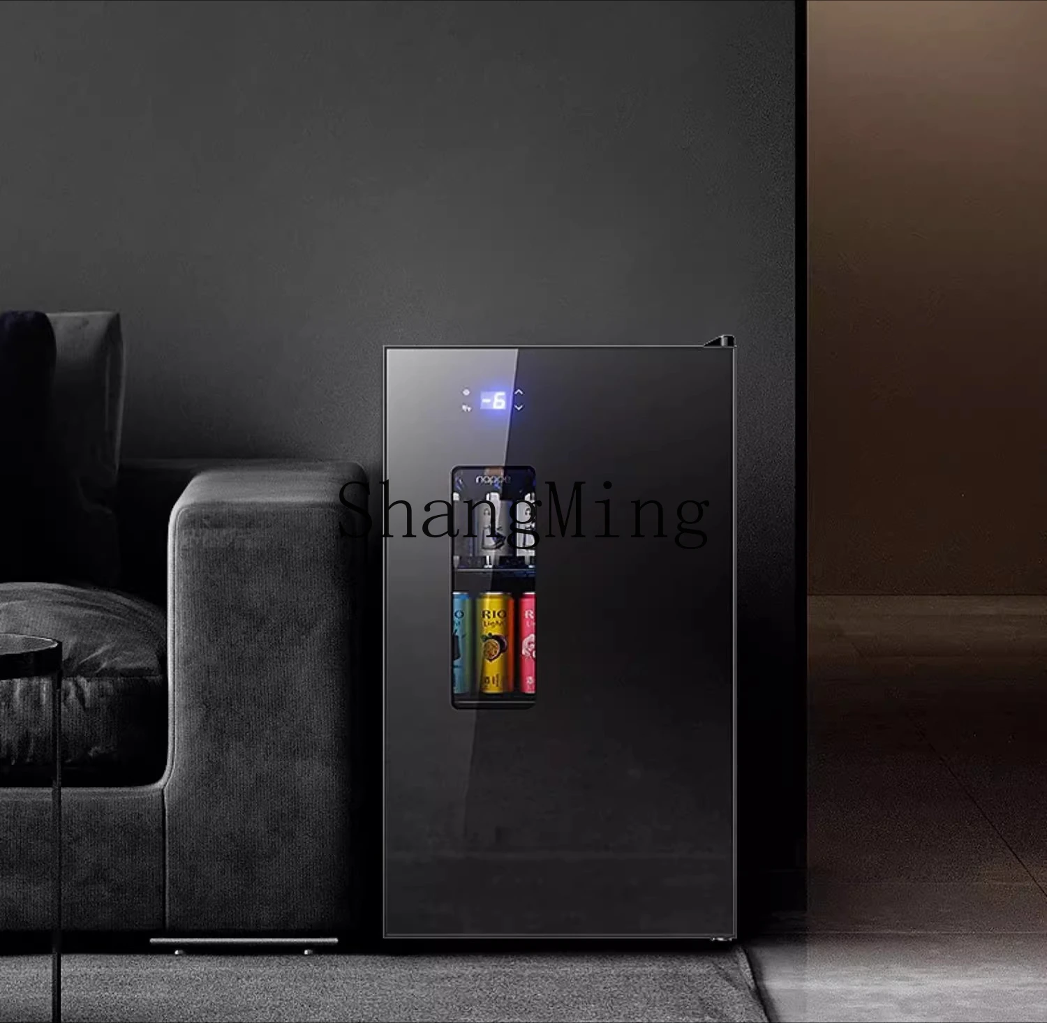 ZYY armadio refrigerato per la conservazione della freschezza del frigorifero di grande capacità per bevande del piccolo soggiorno domestico