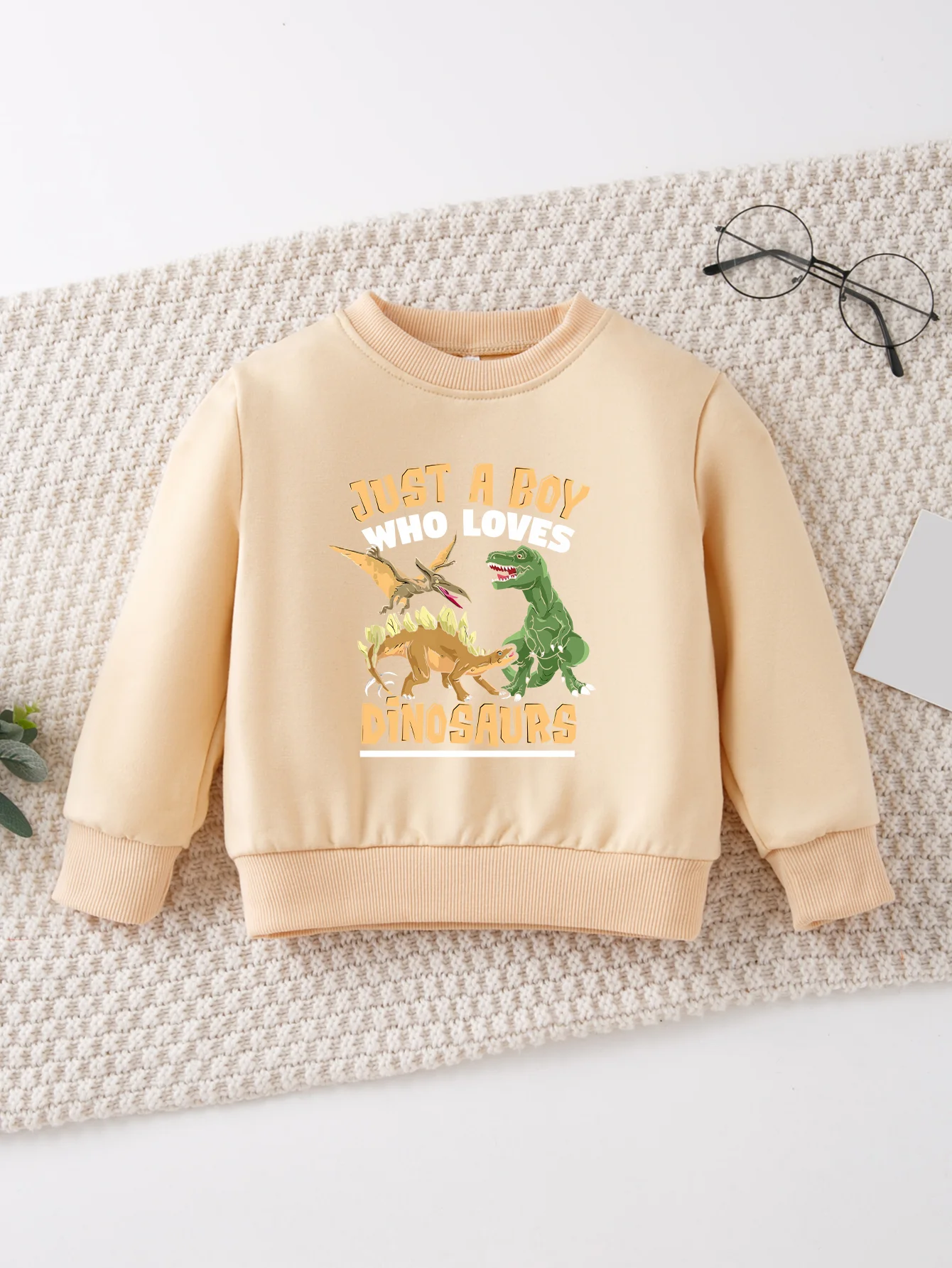 Cool Dinosaurs JUST A BOY WHO LOVES DINOSAURS Print Kid Sweatshirt Baby Boy Pullover