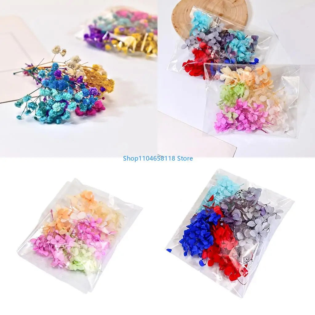 

Сохраненная звездная гипсофила и букет гортензии для домашнего украшения