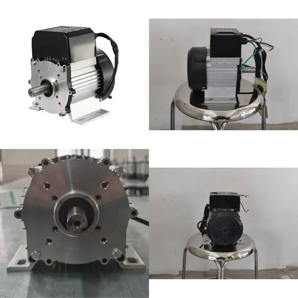 

Direct Manufacturer 24V DC Brushless Pump Motor 350W