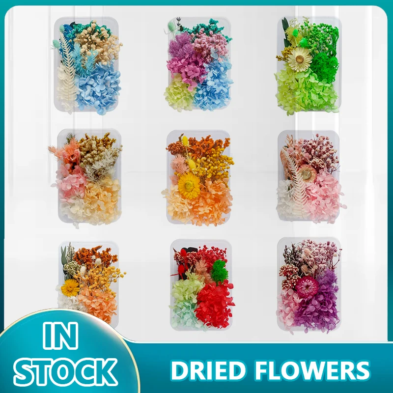 Flor seca real para fazer caso do telefone móvel vela artesanal artesanato resina cola epoxy pingente colar jóias artesanato diy acessórios