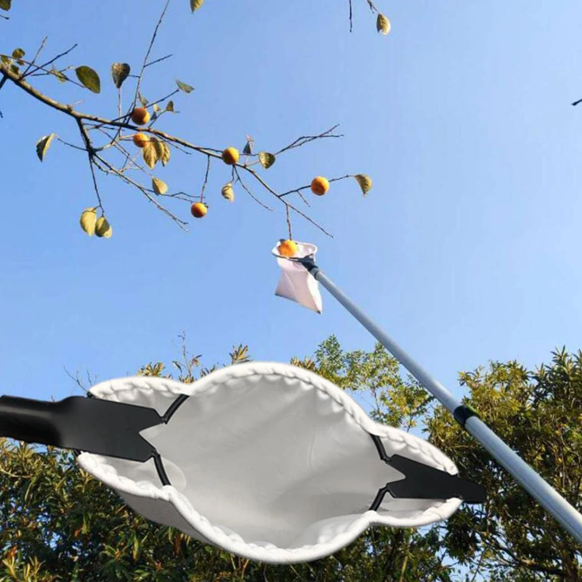 

Metal Fruit Picker Orchard Gardening Apple Peach High Tree Picking Tool Big Fruit Catcher Collection Pouch Farm Garden Supplies