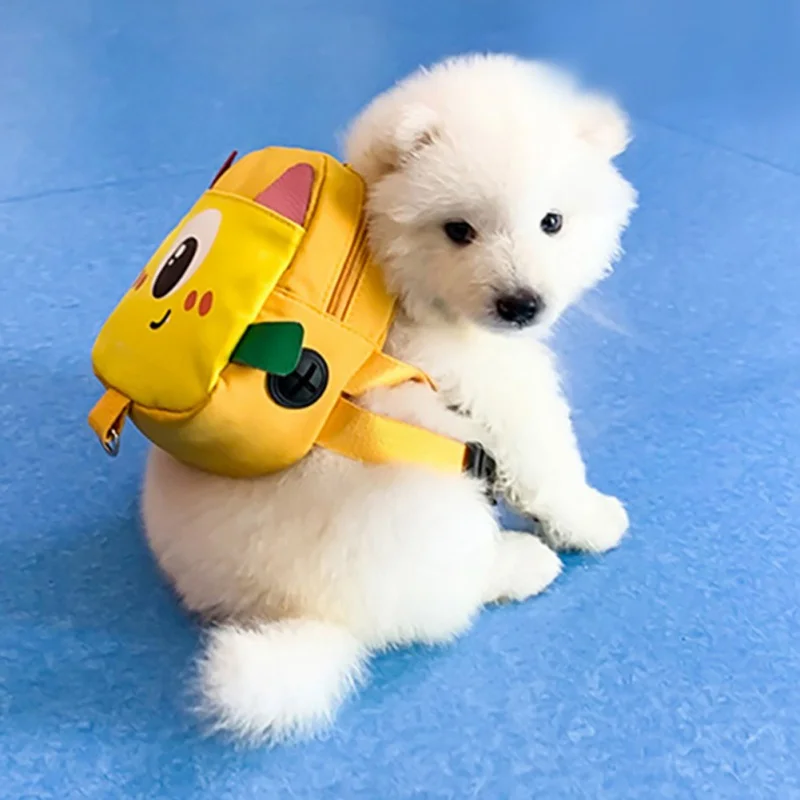 Bolsa autoportante para mascotas con arnés, Kit de correa para cachorros, mochila de viaje al aire libre, bolsas autoportantes para perros
