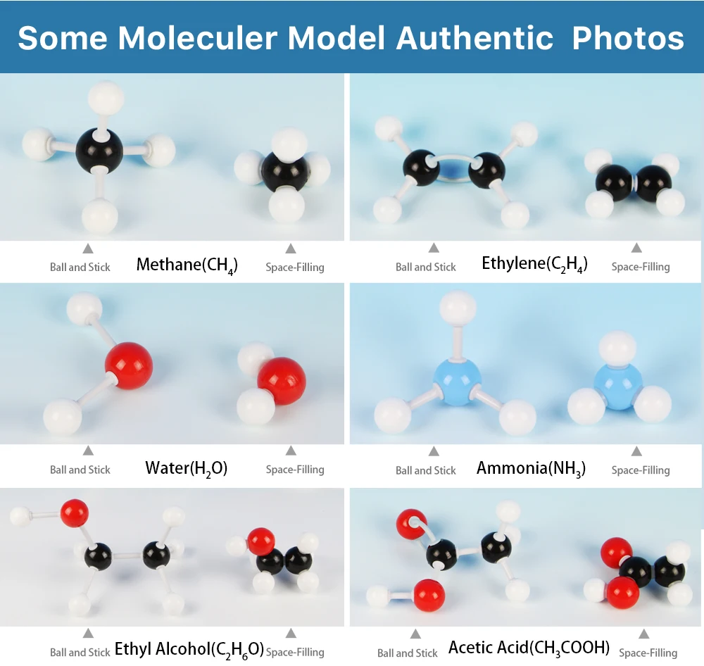 Organic Chemistry Model Kit (95 PCS) - Basic Molecular Models Kit with Atoms, Bonds, Molecular Model Kit Organic