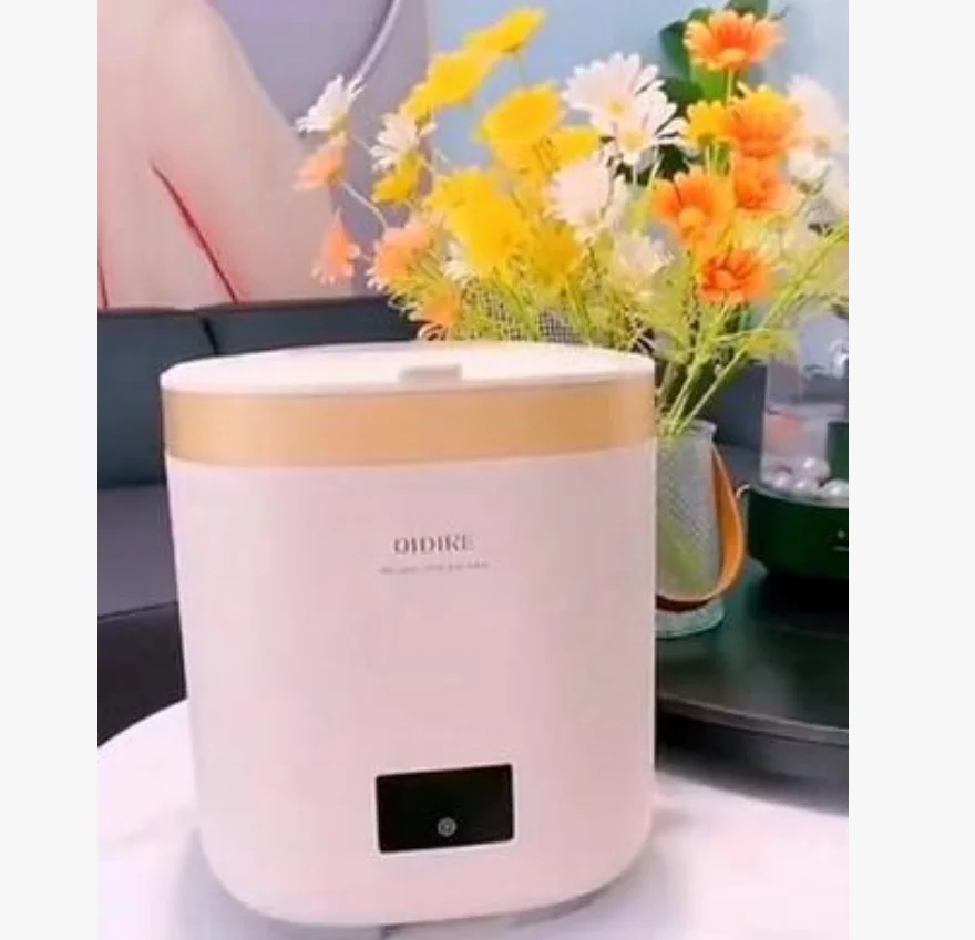 220V Deshi Kitchen Mini Dishwasher Double Person Fruit and Vegetable Machine Fully Automatic Desktop Small CEL