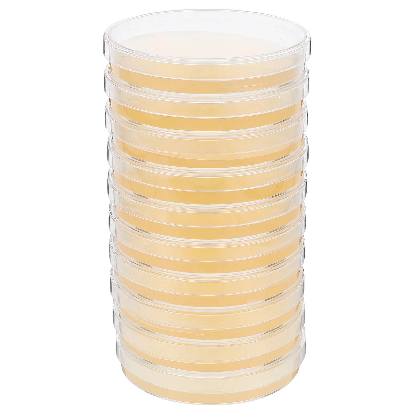 

10pcs Disposable Medium Plates Nutrient Agar for Science Projects Sterile Packaging Agar Biological Determine Equipment